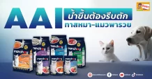 AAI น้ำขึ้นต้องรีบตัก ทาสหมา-แมวพารวย