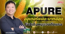 APURE  ออเดอร์แน่น-บาทอ่อน  รับ2เด้งหนุนงบดีดแรง