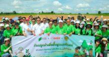 PSH พลิกฟื้นผืนป่า 1 แสนต้น ในโครงการ “ร่วมปลูกป่าเพื่อฟื้นฟูระบบนิเวศน์” สร้างสรรค์สังคม “อยู่ดี มีสุข” สานต่อแนวคิด ESG