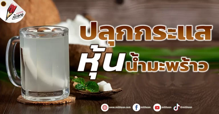 ปลุกกระแส หุ้นน้ำมะพร้าว