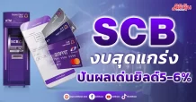SCB งบสุดแกร่งปันผลเด่นยิลด์5-6%