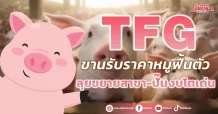 TFG ขานรับราคาหมูฟื้นตัว ลุยขยายสาขา-ปั๊มงบโตเด่น