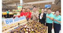 แม็คโคร-โลตัส ภายใต้ซีพี แอ็กซ์ตร้า ผนึกกำลังกรมการค้าภายใน รับซื้อมังคุดและผลไม้ใต้กว่าล้านกิโลกรัม รับมือผลผลิตล้นตลาด