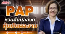 PAP  หวนคืนบัลลังก์  หุ้นปันผลงาม