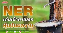 NER เด่นเข้าตาโบรก หุ้นปันผลงาม