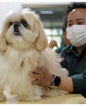 เมเจอร์ ดีเวลลอปเม้นท์ มืออาชีพตัวจริงคอนโดเลี้ยงสัตว์ได้ พัฒนาหลักสูตรใหม่ร่วมกับโรงพยาบาลสัตว์ ปลดล็อกสกิลดูแลสัตว์เลี้ยงชั้นยอด ‘Pet Family Expertise Program’