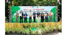 ซีพี-เมจิ เดินหน้าเพิ่มพื้นที่สีเขียว ปลูกป่าพุแค จ.สระบุรี ร่วมสร้างความยั่งยืนด้านสิ่งแวดล้อม