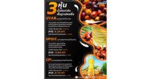 3 หุ้น น้ำมันปาล์ม พื้นฐานไหลลื่น