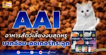 🔥AAI🔥อาหารสัตว์เลี้ยงงบสุดหรู  บาทอ่อน-ออเดอร์กระฉูด