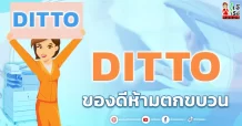 DITTO ของดีห้ามตกขบวน