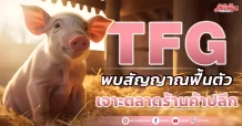 TFG  พบสัญญาณฟื้นตัว  เจาะตลาดร้านค้าปลีก