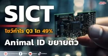 SICT  โชว์กำไรQ3โต49% Animal IDขยายตัว
