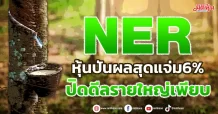NER หุ้นปันผลสุดแจ่ม6% ปิดดีลรายใหญ่เพียบ