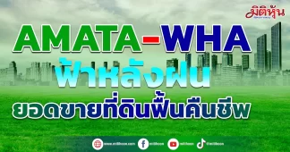 AMATA-WHA ฟ้าหลังฝน ยอดขายที่ดินฟื้นคืนชีพ