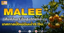 MALEE  สินค้ามาร์จิ้นสูงโตแรง  เทศกาลปีใหม่ดันเป้า 9.15 บ. (ข่าวเจาะ)