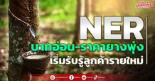 NER  บาทอ่อน-ราคายางพุ่ง  เริ่มรับรู้ลูกค้ารายใหม่