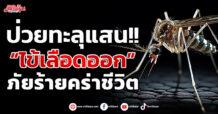 ป่วยทะลุแสน!! “ไข้เลือดออก” ภัยร้ายคร่าชีวิต