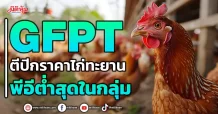 GFPT  ตีปีกราคาไก่ทะยาน  พีอีต่ำสุดในกลุ่ม