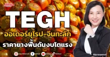 TEGH ออเดอร์ยุโรป-จีนทะลัก ราคายางฟื้นดันงบโตแรง