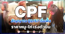 CPF สัญญาณ Q2/67 เริ่มฟื้น ราคาหมู-ไก่ เร่งตัวขึ้น
