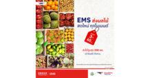 ไปรษณีย์ไทยเปิดมาตรการช่วยผู้ปลูกผลไม้ เข้ารับผลผลิตฟรีถึงหน้าสวน พร้อมหนุนส่งด่วน EMS เริ่มต้นเพียง 60 บาท การันตีความวางใจการส่งกว่า 1 แสนตัน