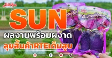 SUN ผลงานพร้อมผงาด ลุยสิ้นค้าRTEเต็มสูบ
