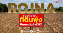ROJNA ยอดขายที่ดินพุ่ง ปันผลเด่นยิลด์5%
