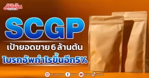 SCGP เป้ายอดขาย 6ล้านตันโบรกอัพกำไรขึ้น5%