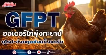 GFPT ออเดอร์ไก่พุ่งทะยาน ยุโรป-อังกฤษยังแข็งแกร่ง