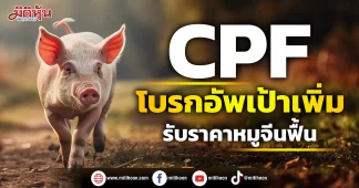CPF โบรกอัพเป้าเพิ่มรับราคาหมูในจีน-เวียดนามฟื้น