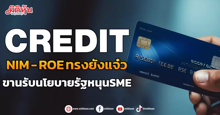 CREDIT  พบ NIM – ROE ทรงยังแจ๋ว  ขานรับนโยบายรัฐหนุนSME