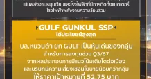 GULF รับเต็มข้อ “PDP2024”