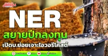 NER สยายปีกลงทุน เปิดบ.ย่อยเจาะไอวอรีโคสต์