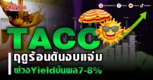 TACC รับบวกฤดูร้อนดันงบแจ่ม พ่วงตอบแทนปันผล7-8%