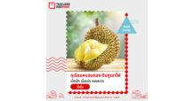 ต้องลอง!! ไปรษณีย์ไทย เปิดจำหน่าย “ทุเรียนหมอนทองดินภูเขาไฟศรีสะเกษ” ตัวท็อปและของดีประจำซีซั่น “ลูกใหญ่ เนื้อแน่น ส่งตรงจากสวน” จ.ศรีสะเกษ สั่งได้ที่ ThailandPostMart