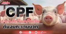 CPF  ราคาสัตว์บกคืนชีพ  ดันงบทะยานบวก