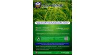 ธ.ก.ส. พร้อมดำเนินโครงการประกันภัยข้าวนาปี ปี 67 ตามมติครม. เริ่มแล้ววันนี้