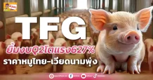 (ข่าวเจาะ) TFG ยิ้มงบQ2โตแรง627% ราคาหมูไทย-เวียดนามพุ่ง