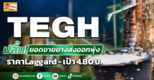 ด่วน!!! มิติหุ้น – ข่าวเจาะ 🔥 TEGH 🔥 ปลื้ม!ยอดขายยางส่งออกพุ่ง ราคาLaggard -เป้า 4.80 บ.