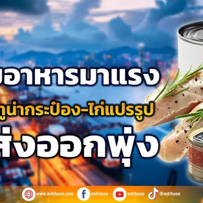 หุ้นกลุ่มอาหารมาแรง