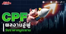 CPF  ผลงานอู้ฟู่  รับราคาหมูทะยาน
