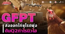 GFPT ส่งออกไก่ยุโรปพุ่ง ดันQ2กำไรนิวไฮ
