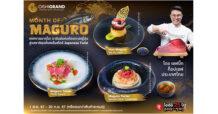 โออิชิ แกรนด์ เชิญสัมผัสประสบการณ์ โอ-ร่อย  พร้อมลิ้มลองเมนูมากุโระ แบบฉบับท็อปเชฟ วันนี้ถึง 30 กันยายน นี้