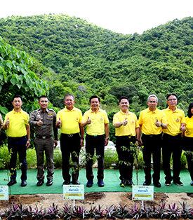 ปตท. ผนึกกำลัง พม. และ จ.ระยอง ปลูกป่าเพิ่มพื้นที่สีเขียวโครงการเขาจอมแหเปิดประตูสู่ระยอง ปี 2567