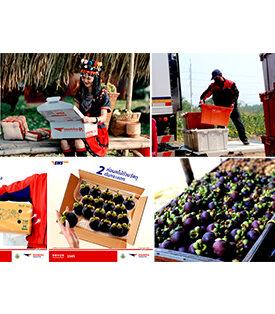 ไปรษณีย์ไทยเผยครึ่งปีช่วยส่งผลไม้แล้วกว่า 18 ล้านกิโล ร่วมอัดมาตรการ “ช่วยชาวสวน – กระตุ้นภาคการบริโภค” ชูราคาพิเศษส่งผลไม้ด่วนด้วย EMS ทั่วไทย เริ่มต้น 3 กก. เพียง 60 บาท