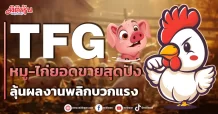 TFG  หมู-ไก่ยอดขายสุดปัง  ลุ้นผลงานพลิกบวกแรง