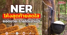 NER โค้งสุดท้ายสดใส ยอดขาย-รายได้เข้าเป้า