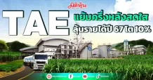 TAE แย้มครึ่งหลังสดใส ลุ้นรายได้ปี 67 โต 10%