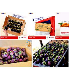 ไปรษณีย์ไทยใช้ส่งด่วน EMS ช่วยเกษตรกรกระจายผลไม้ถึงผู้บริโภค มอบโปรโมชันลด 30% ส่งสินค้าด่วนได้ทั่วไทย 3 กก. แรกเริ่มต้น เพียง 45 บาท