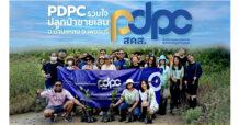 PDPC ปลูกจิตสำนึกรักษ์สิ่งแวดล้อม นำทีมเจ้าหน้าที่สร้างพื้นที่สีเขียว ร่วมปลูกป่าชายเลน จังหวัดเพชรบุรี